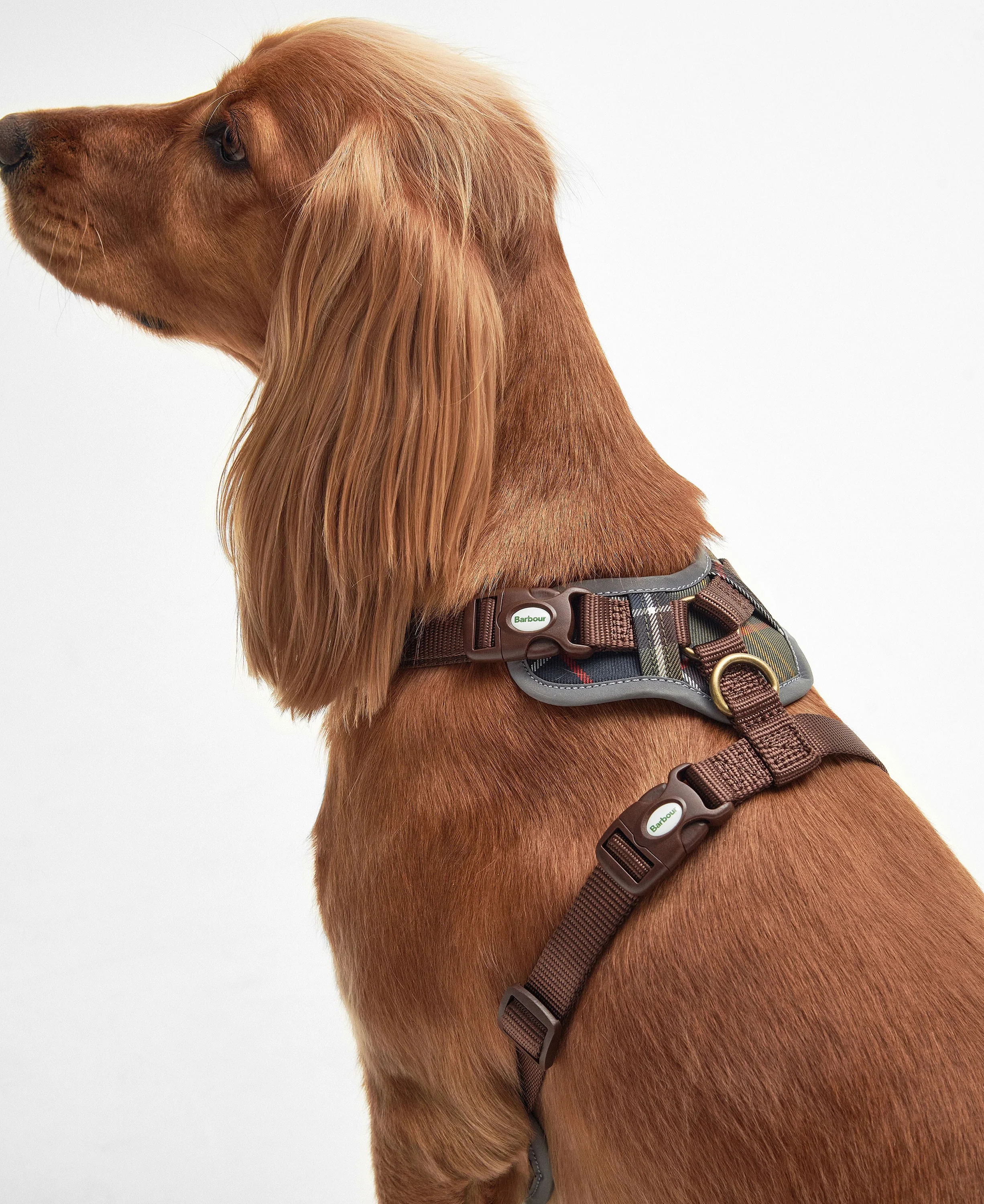 Fully Adjustable Harness - Classic Tartan - Image 5