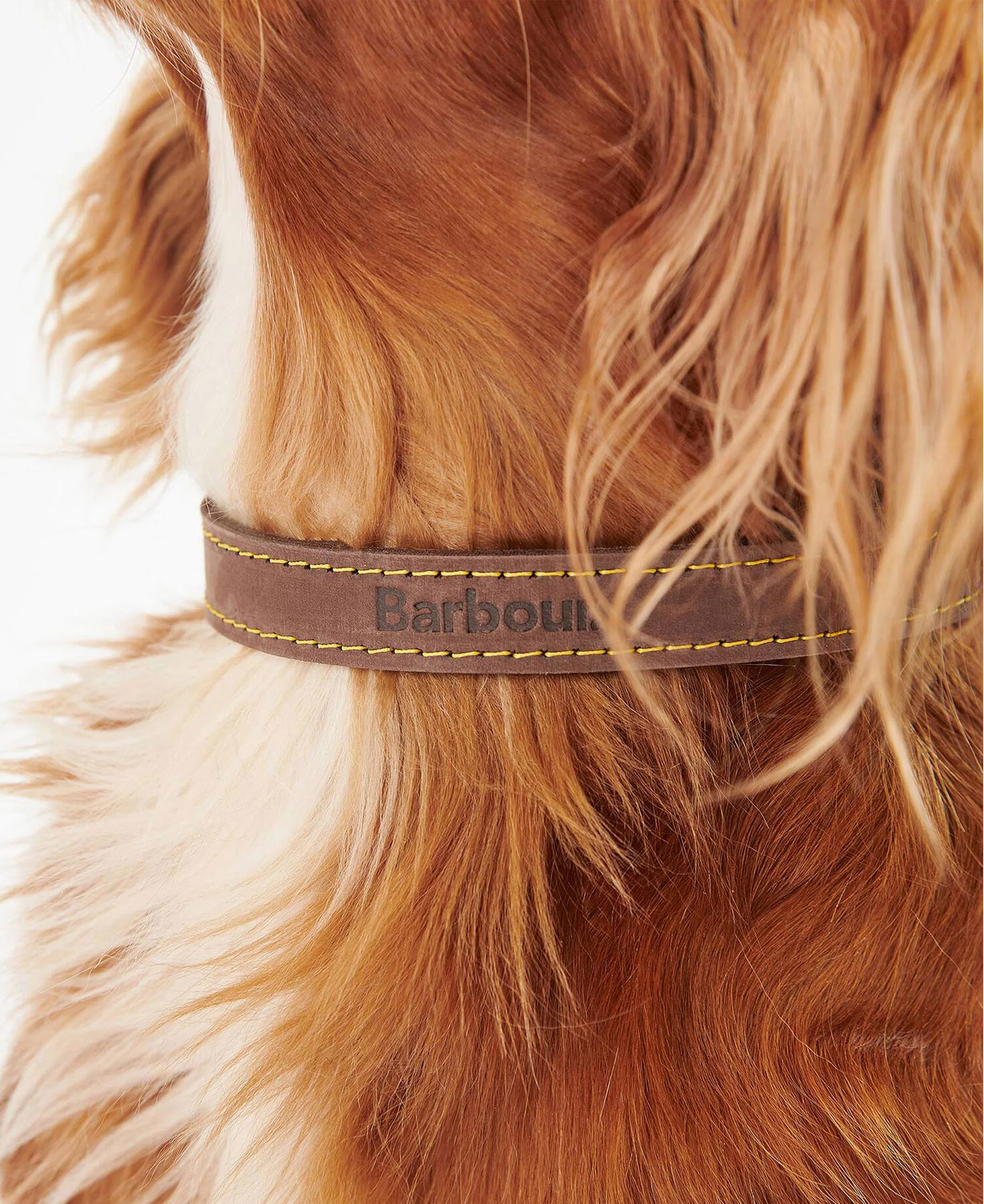 Leather Dog Collar - Brown - Image 2