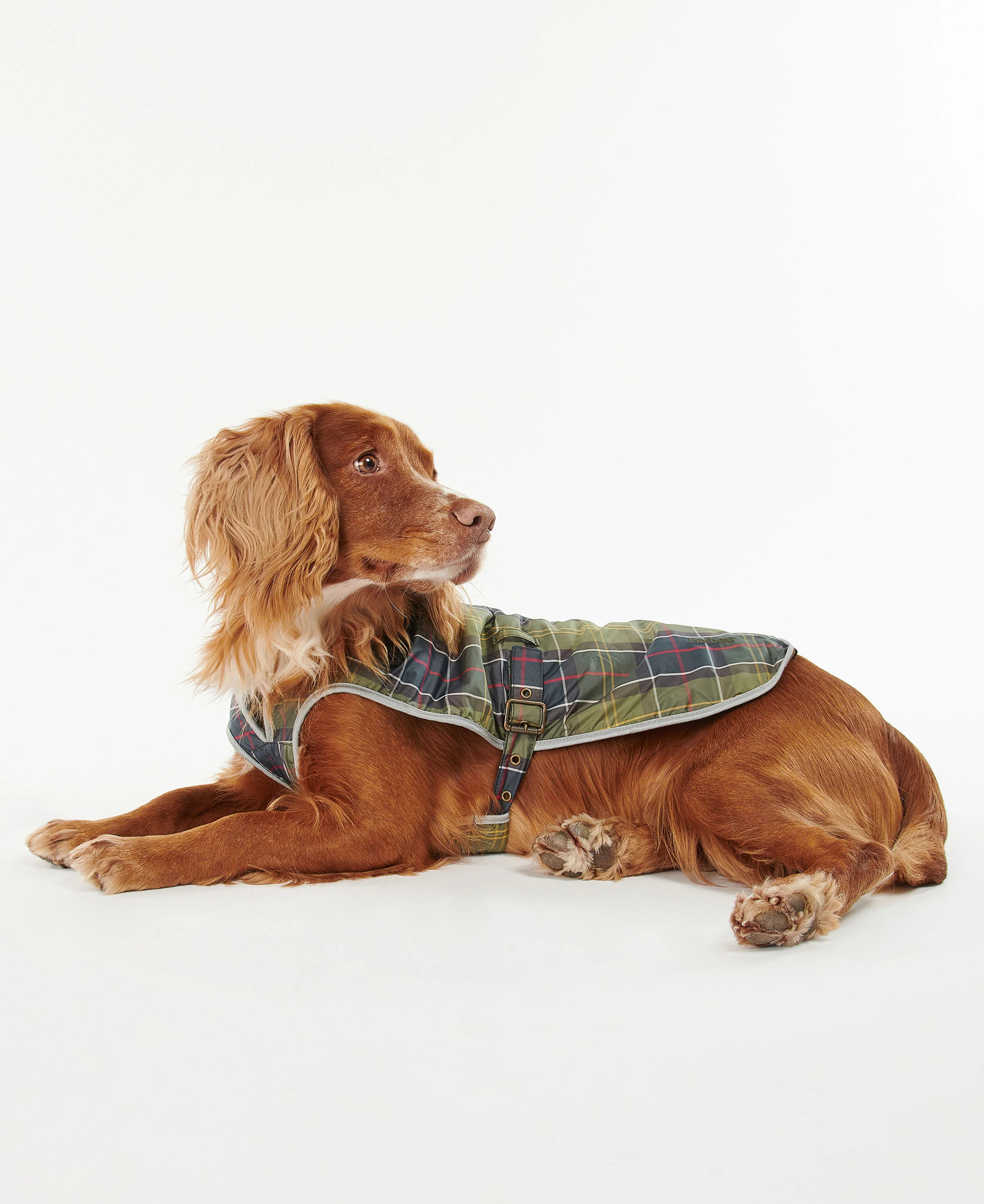 Waterproof Tartan Dog Coat - Classic Tartan - Image 3
