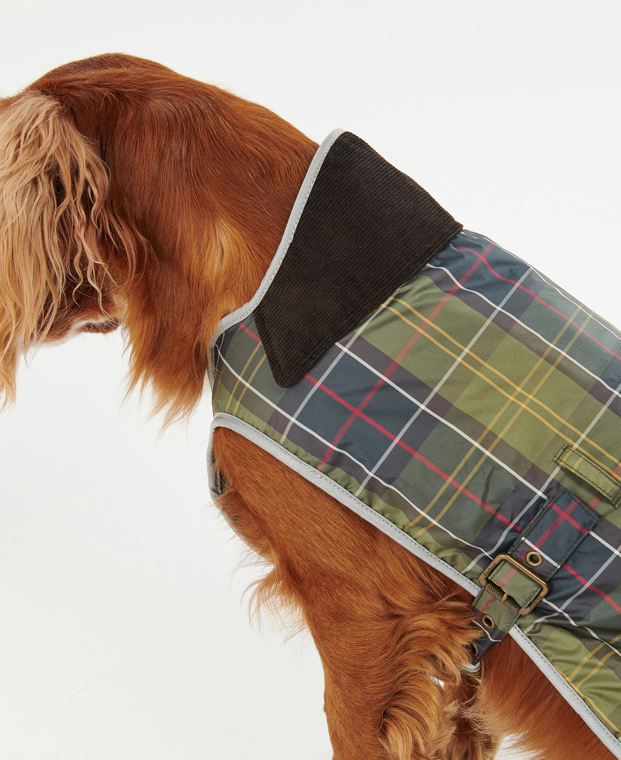 Waterproof Tartan Dog Coat - Classic Tartan - Image 4